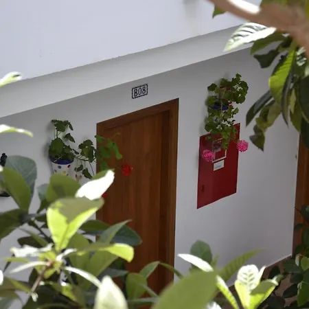 Oasis Atalaya