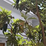 Oasis Atalaya Отель Кониль-де-ла-Фронтера