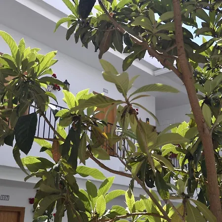 Oasis Atalaya Готель Коніль-де-ла-Фронтера