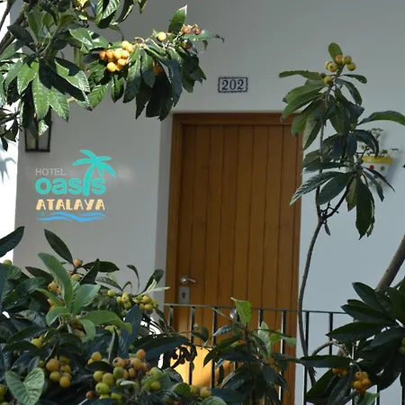 Oasis Atalaya