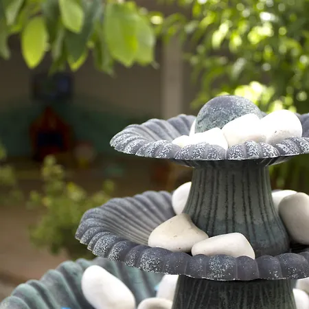 Готель Oasis Atalaya *