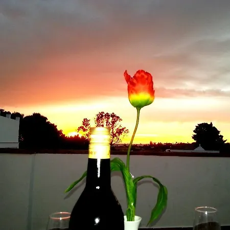 Готель Oasis Atalaya Коніль-де-ла-Фронтера