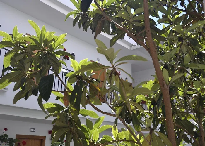 Oasis Atalaya Hotel Conil De La Frontera