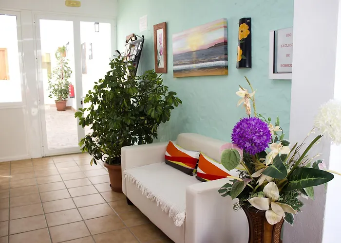 Oasis Atalaya