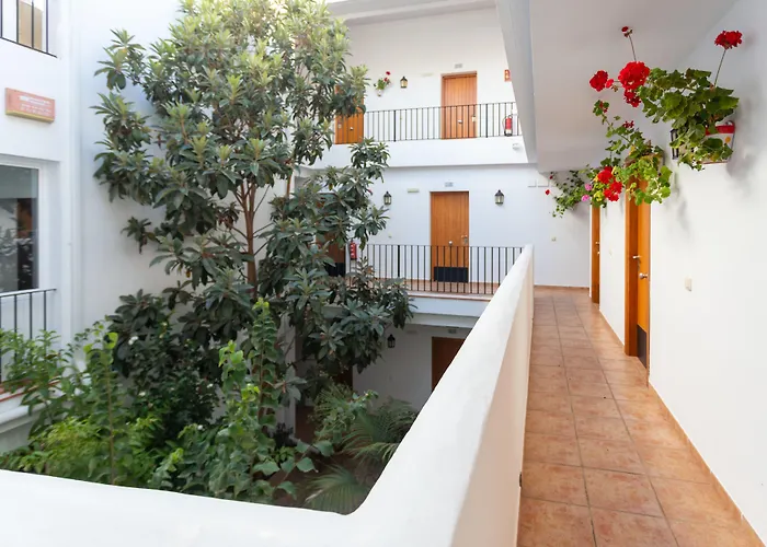 Hotel Oasis Atalaya *