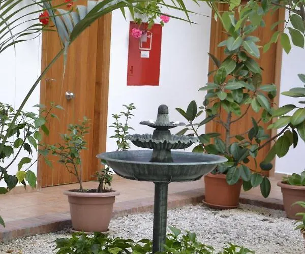 Oasis Atalaya