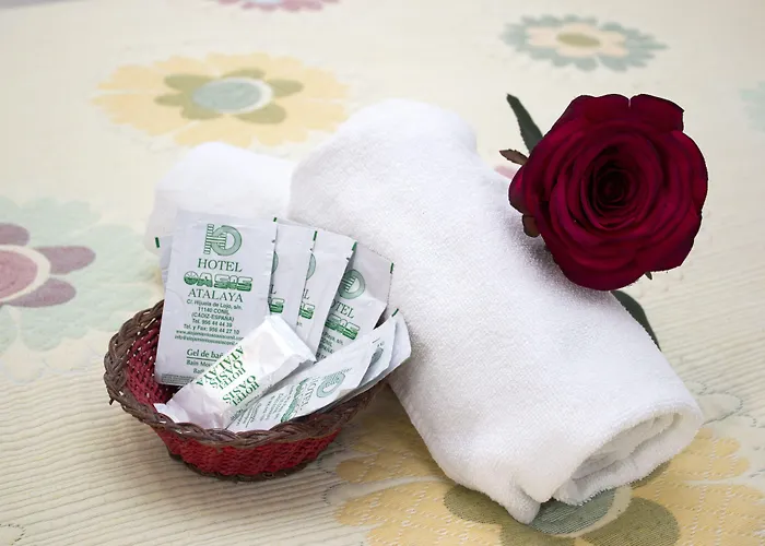 阿塔拉亚绿洲大酒店 *